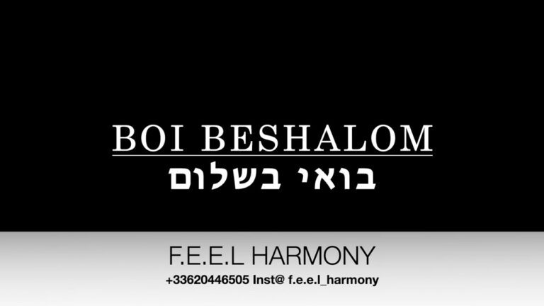 Feel harmony by franck zerbib
