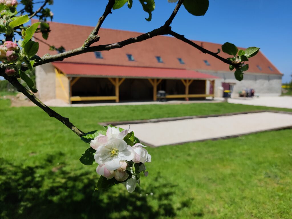 Jardin fleuri devant les bâtiments et le préau en bois