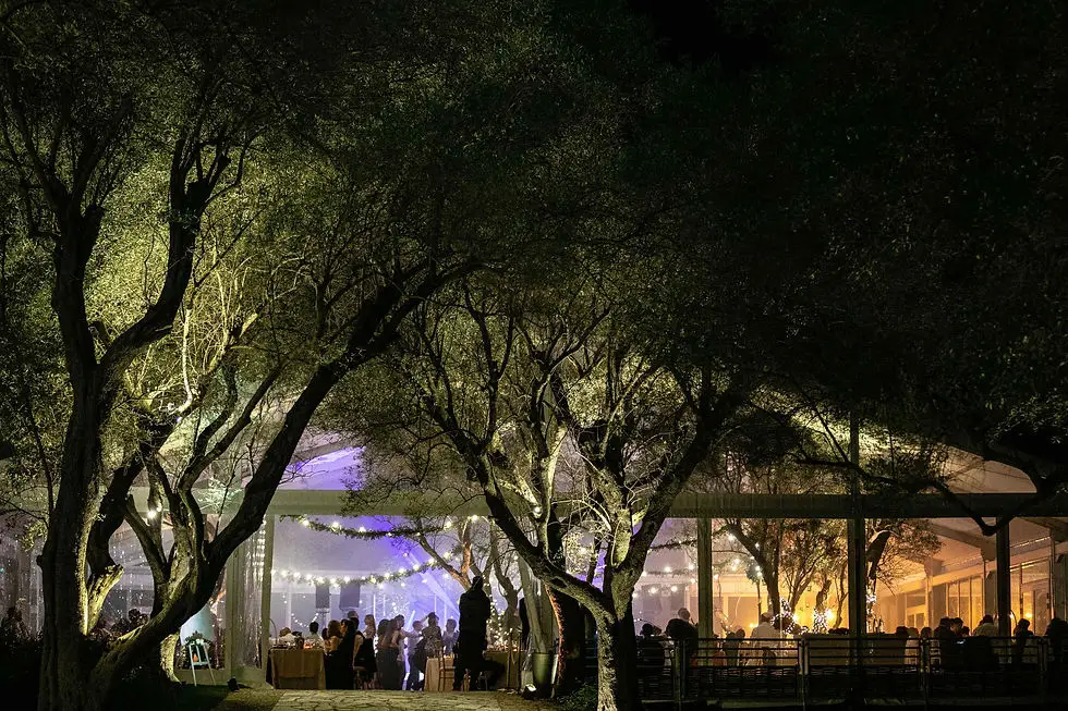 Pavillon de réception éclairé parmi les oliviers de la Bastide du Roy