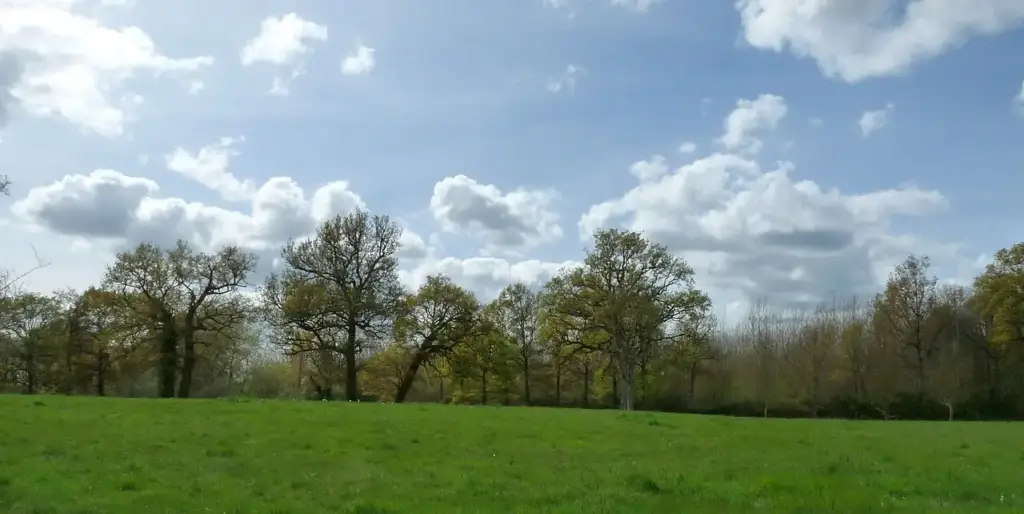 Park — Château du Plessis-Bourré (2026-03-29).