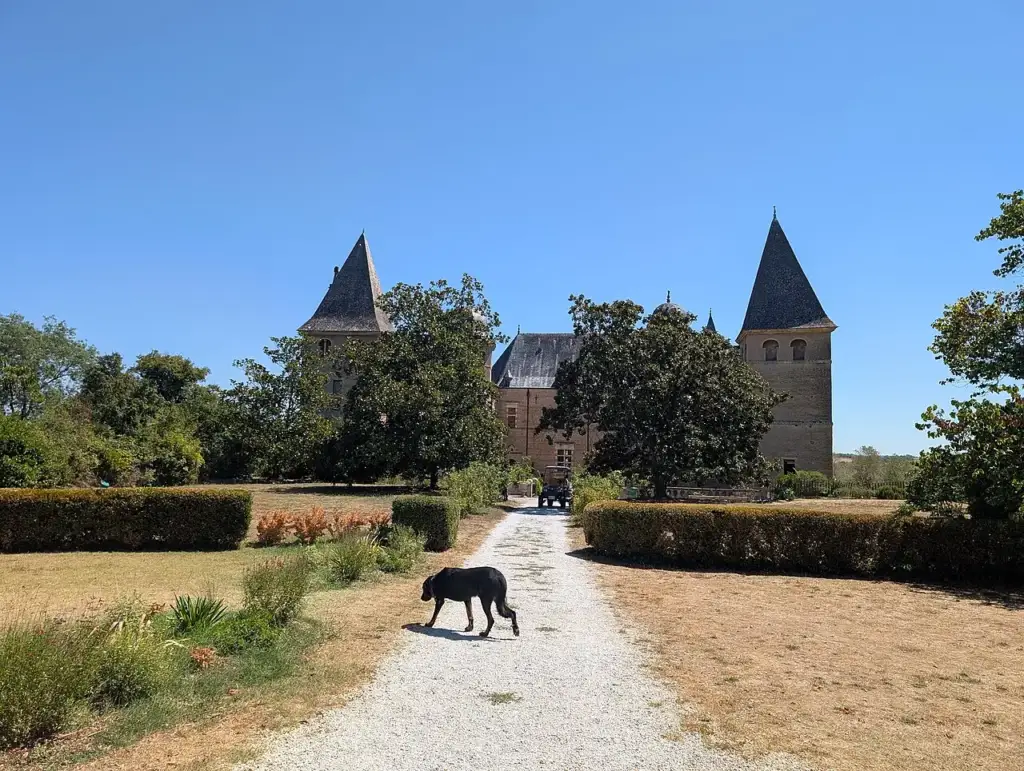 Château de Caumont et son allée en 2026