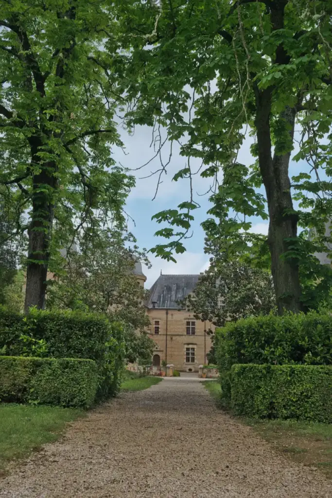 Perspective arborée vers le Château de Caumont en 2016