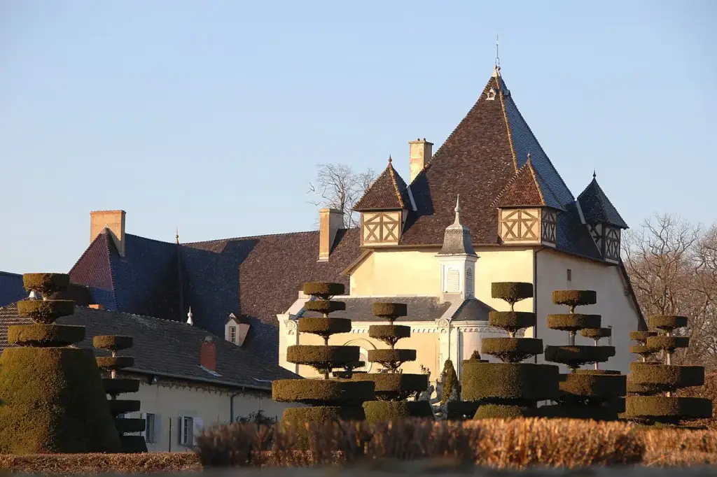 Façade et tour du Château de Pizay au soleil, devant des topiaires