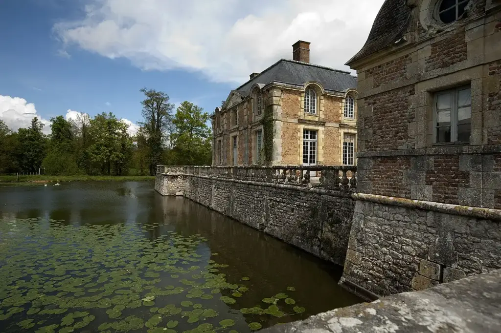 Moat and façade — Château de La Ferté-Saint-Aubin (2008-04-30).