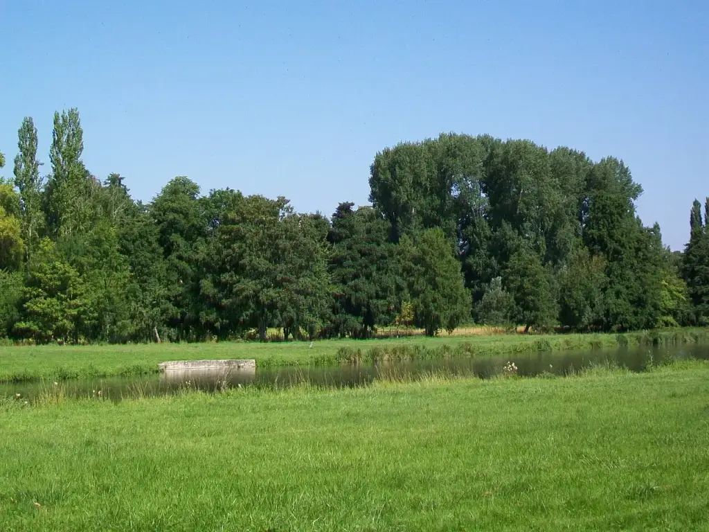 Parc — Domaine Château Ermenonville — 2011-07-11
