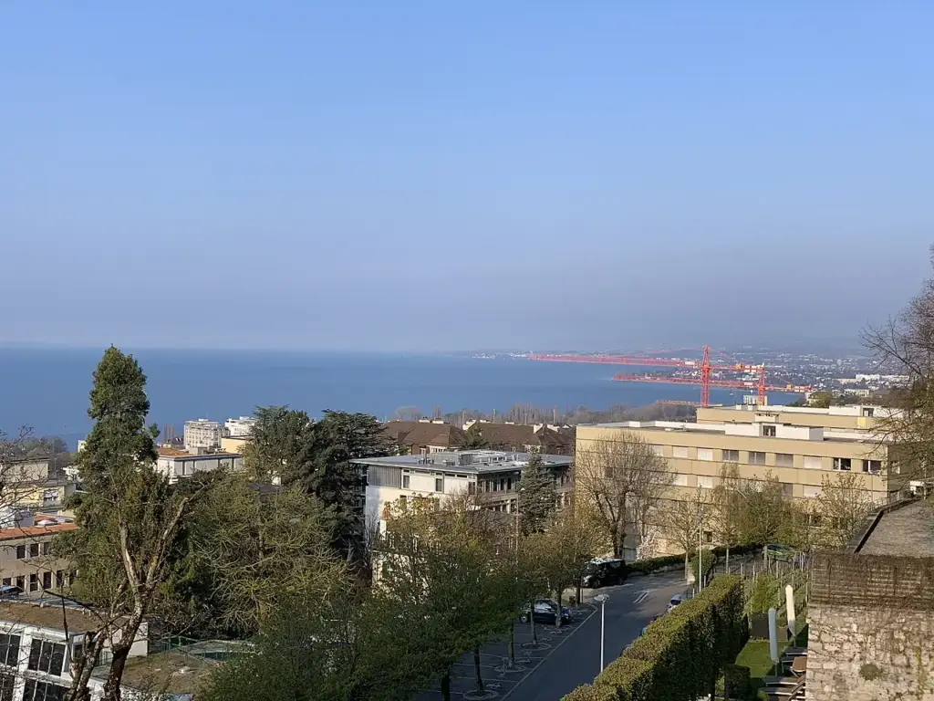 Vue sur le Léman depuis un balcon du Lausanne Palace