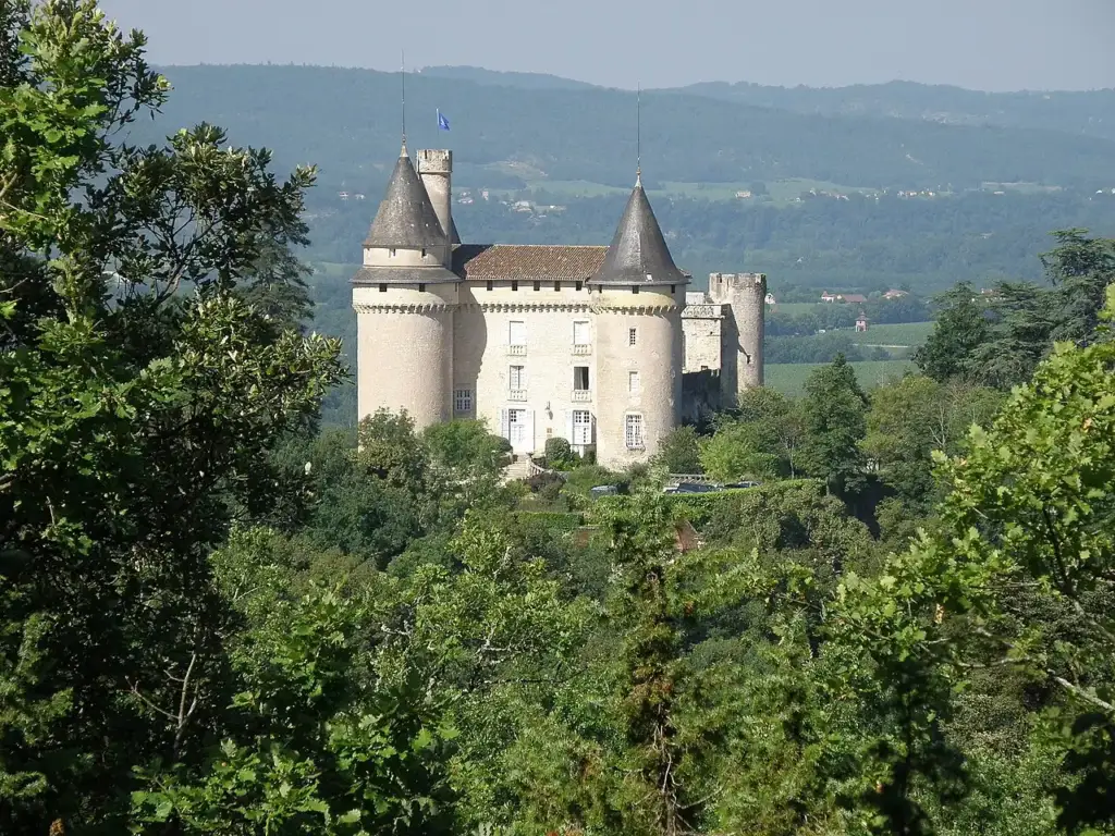 Château de Mercuès above a wooded hillside
