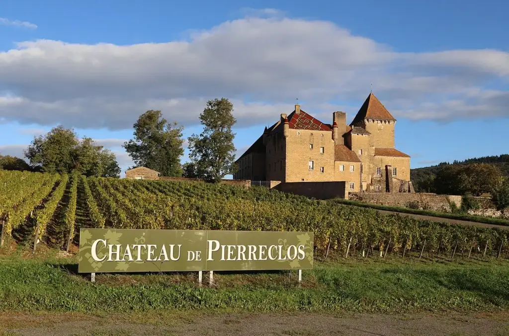 Overview of the Château de Pierreclos and its vineyard, 2021-10-06