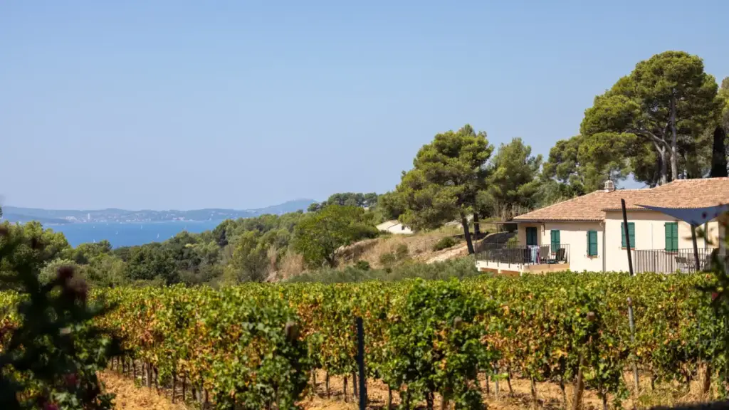 Gîte du Domaine La Navicelle entouré de vignes avec la mer à l’horizon