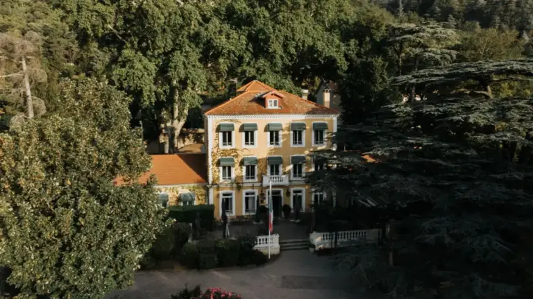 Le Cèdre de Soyons