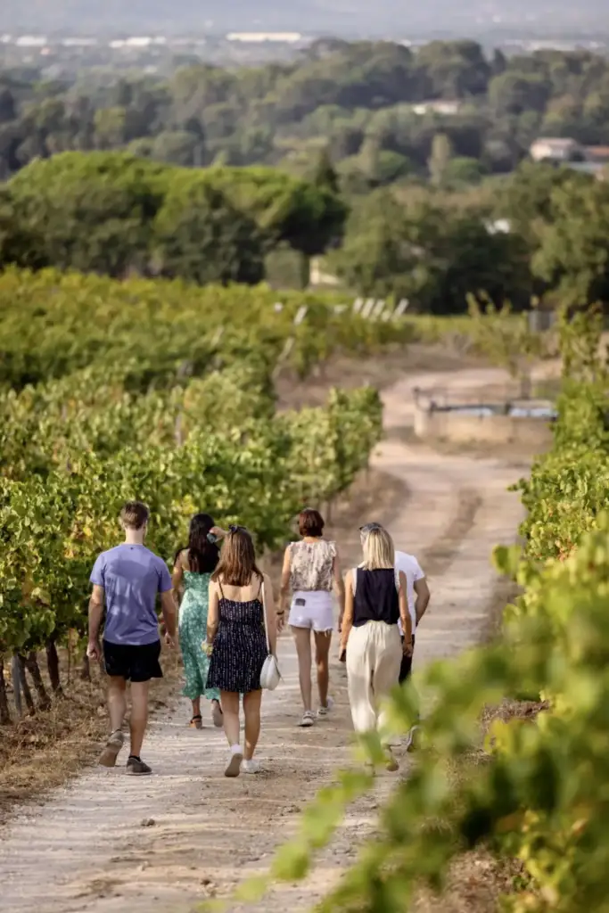 Visiteurs sur un chemin au milieu des vignes du Domaine La Navicelle