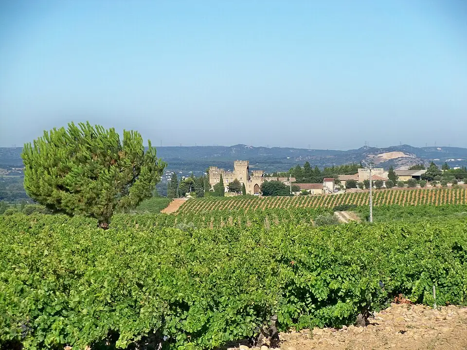 Stone towers of Château des Fines Roches behind rows of vines in Châteauneuf-du-Pape
