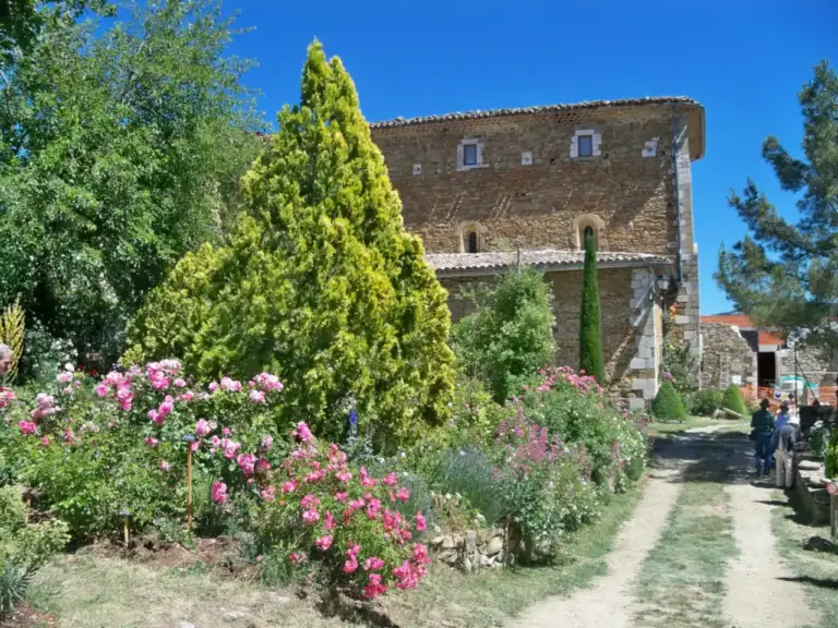 Abbaye de Valsaintes