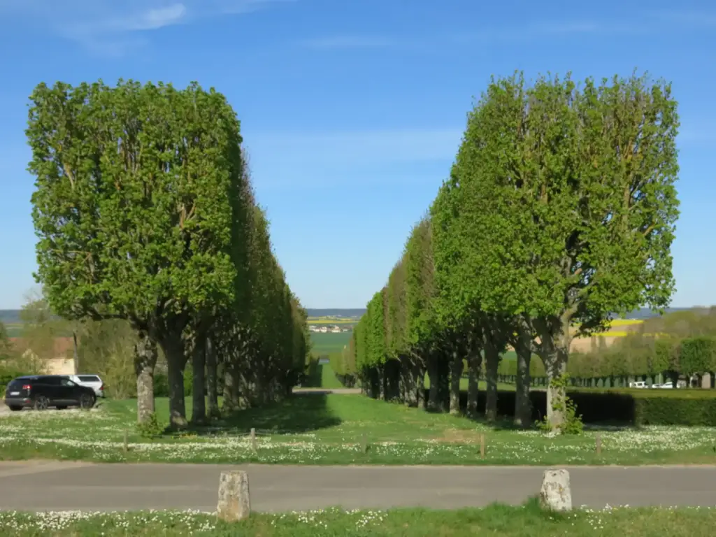 Tree-lined path in the grounds of Château de Thoiry
