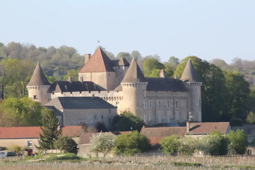 Vue du Château de Rully avec ses dépendances et le village, Chabe01, 7 avril 2017