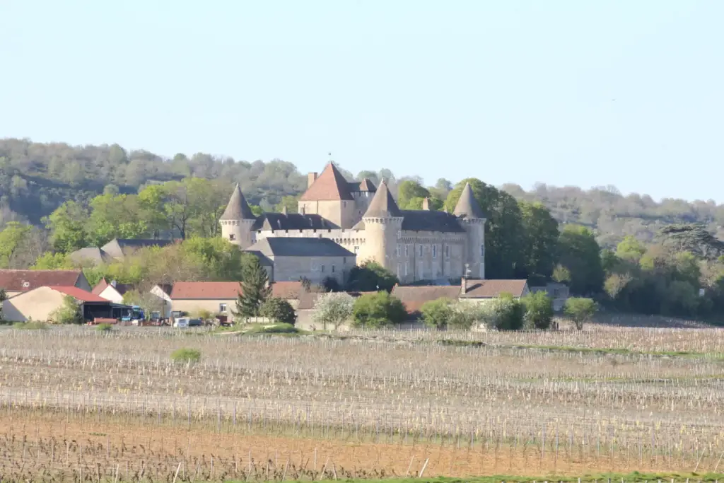 Château de Rully et rangs de vignes au premier plan, Chabe01, 7 avril 2017