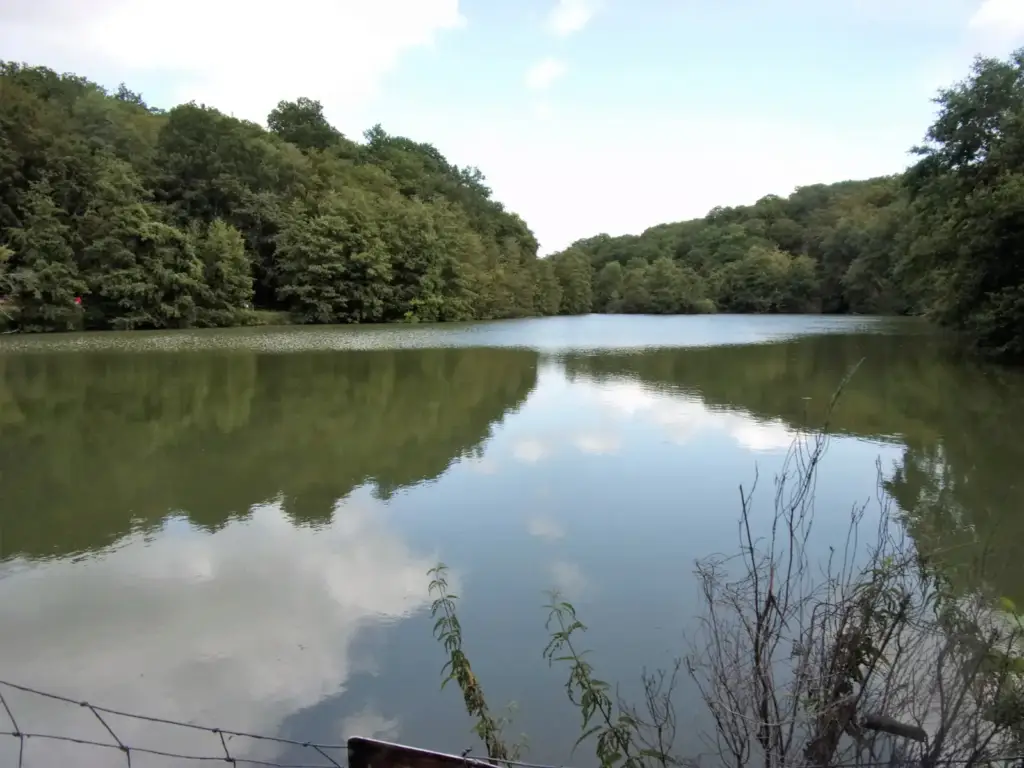 Étang du domaine de Candé bordé d’arbres dont les reflets apparaissent sur l’eau