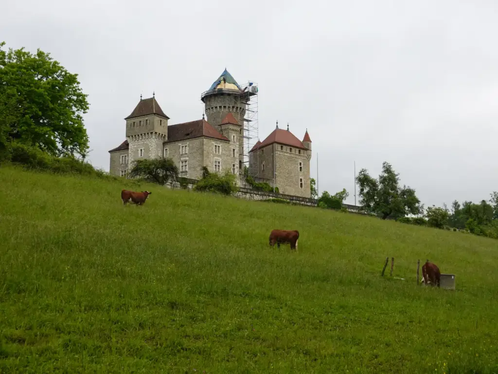 Château de Montrottier au-dessus d’une prairie avec des vaches, et échafaudage visible sur le donjon en 2020