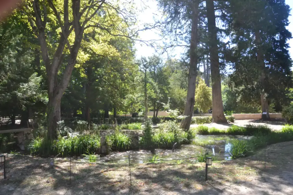 Arbres et pièce d’eau dans le parc du Château de Thézan