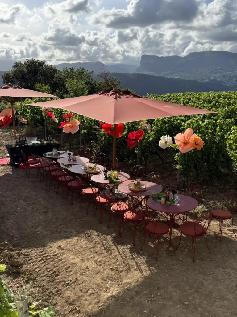 Tables et parasols près des vignes du Domaine de Toasc à Nice