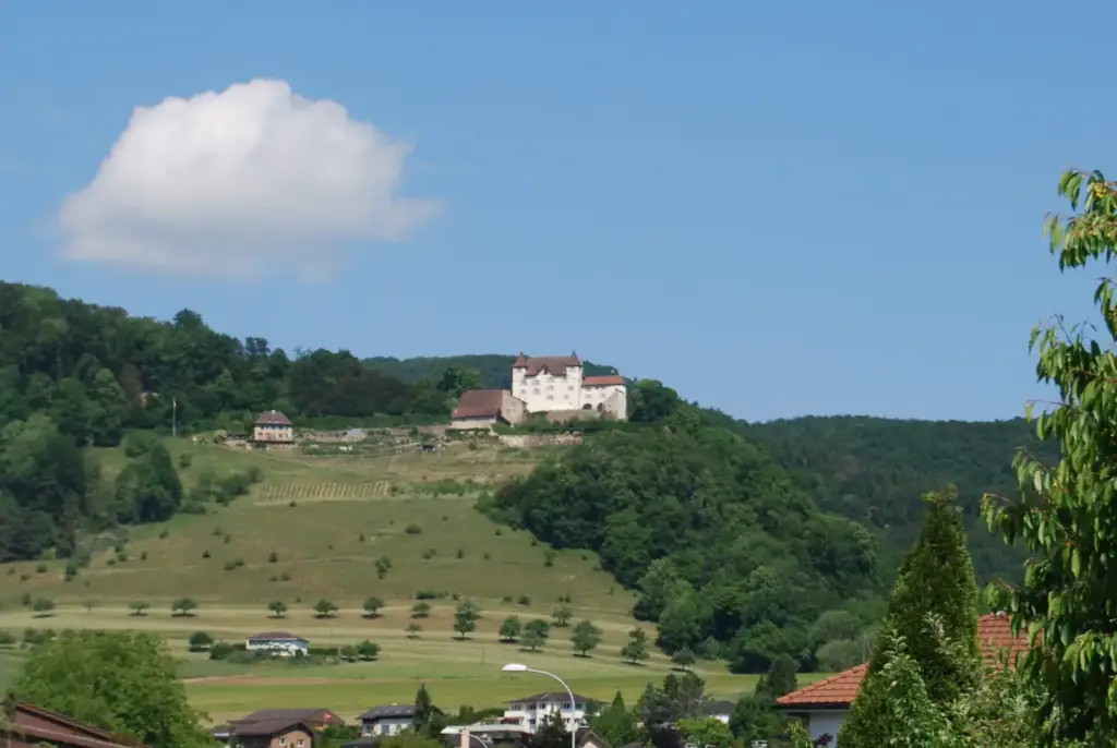 Wartenfels Castle and vineyard on the wooded hillside above Lostorf, photographed in 2011