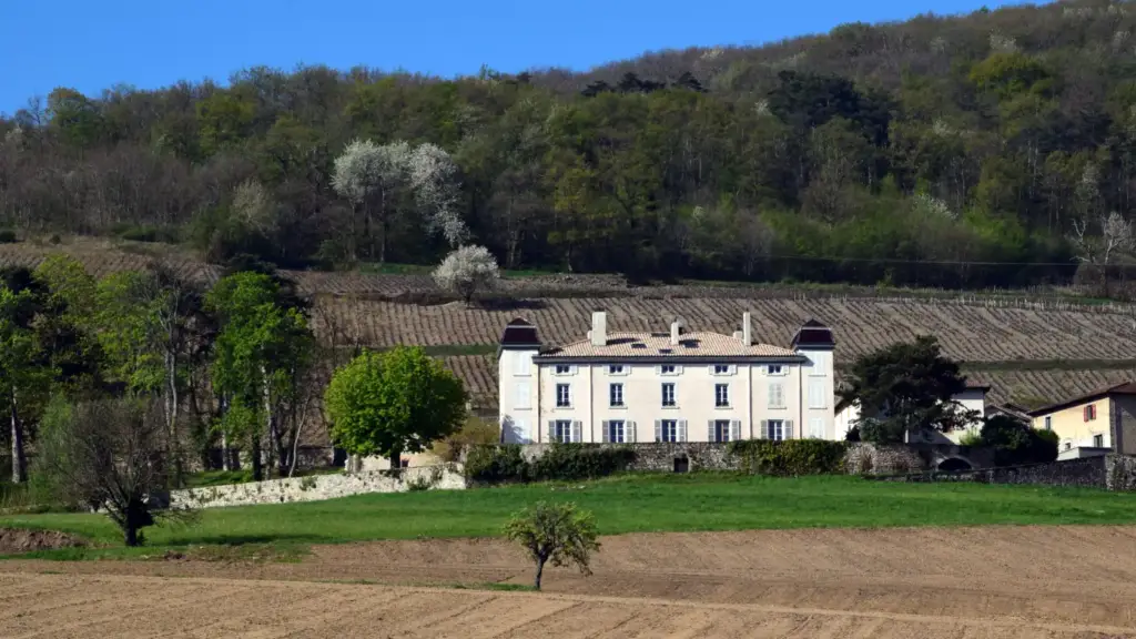 Château du Souzy à Quincié-en-Beaujolais, René Boncompain (CC BY-SA 4.0)