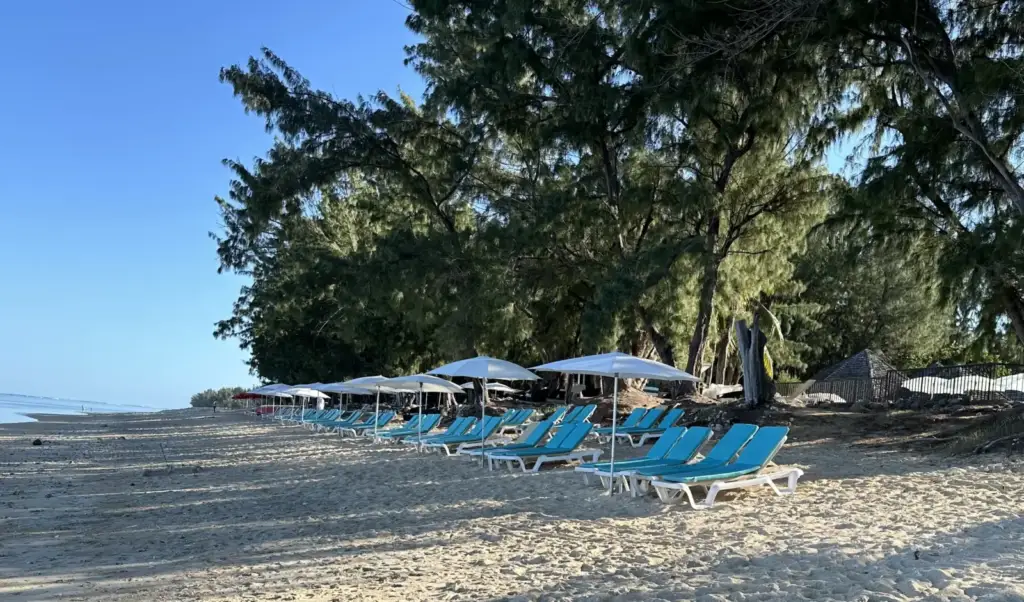 Blue loungers and parasols in front of LUX Saint Gilles on Ermitage beach, Olaf2, 28 July 2024