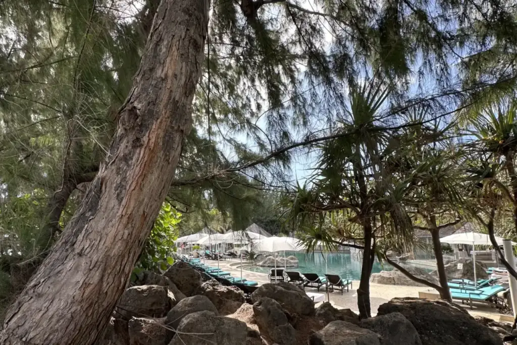 Filao garden overlooking the pool at LUX Saint Gilles, Olaf2, 27 July 2024