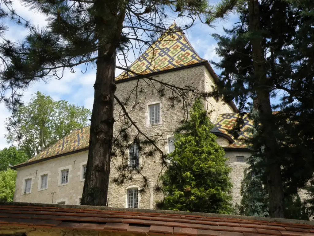 Castle tower behind the trees