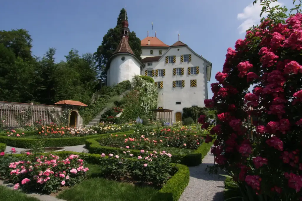 Dated view of the rose garden at Schloss Heidegg with flowering roses, paths and the castle façade