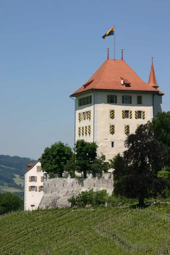 Heidegg castle tower with a reddish roof and painted shutters above the vineyard