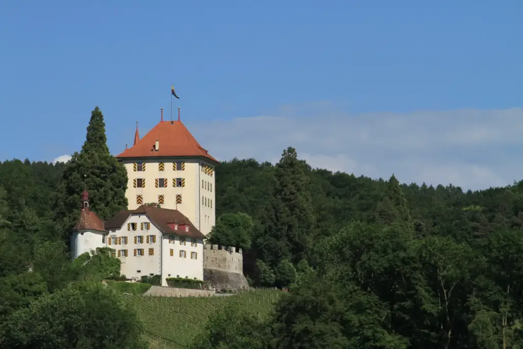 Schloss Heidegg with a pale tower and red roofs between vineyards and woodland, viewed from the west