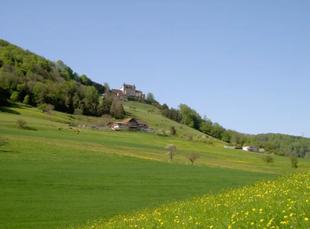 Wartenfels Castle above meadows and woodland near Lostorf, historical exterior view from 2008