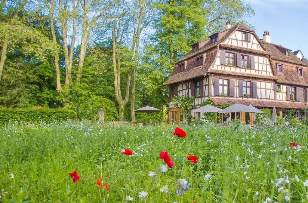 Maison alsacienne à colombages et prairie fleurie du domaine Du Côté de Chez Anne à Strasbourg