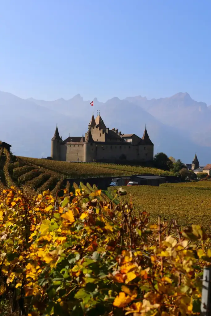 Château d’Aigle au milieu des vignes aux couleurs d’automne
