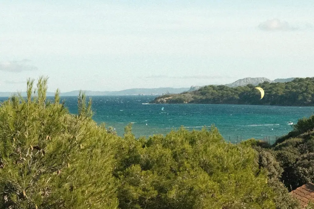 Vue sur la Méditerranée et la végétation depuis le Domaine de la Mer à Giens